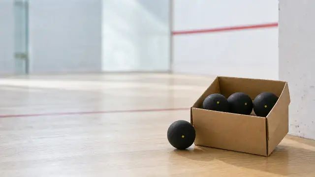 Squashbolde